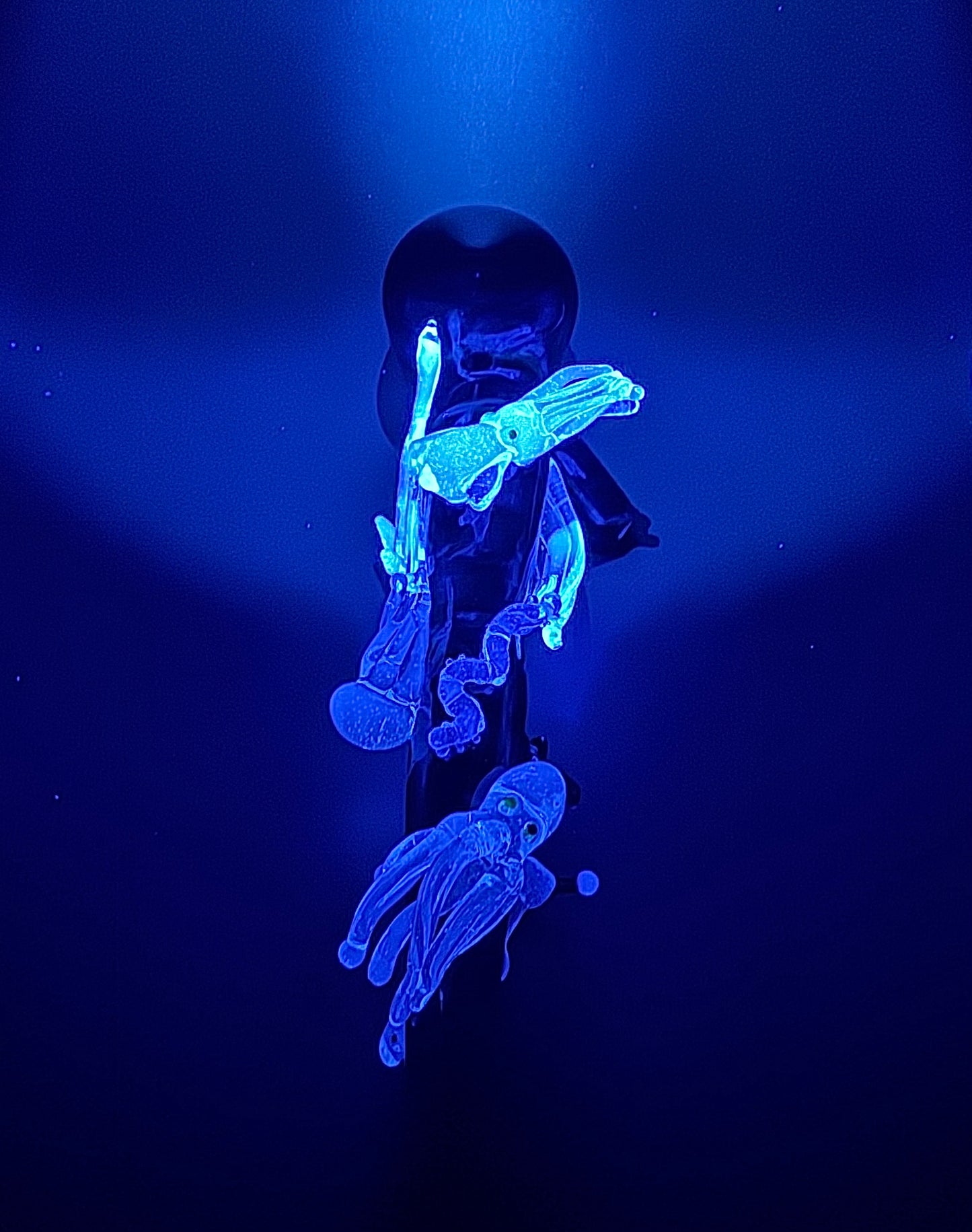#1 Abyssopelagic UV reactive Wizard Dry Pipe